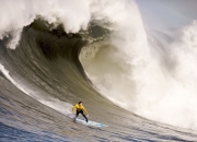 开云APP-新王登基！辛纳ATP总决赛横扫拉沃尔杯阵容，宣告男子网坛权力交接