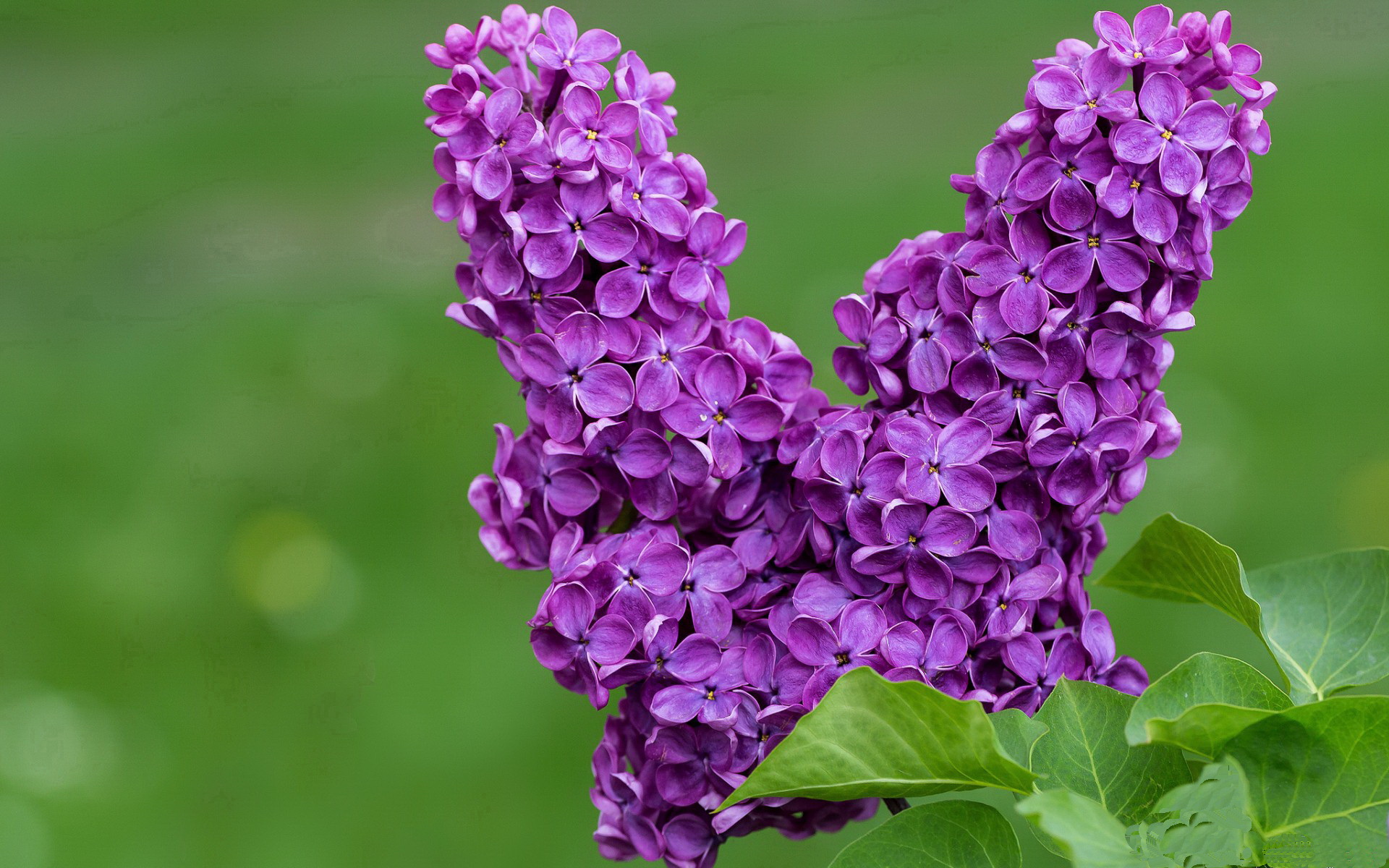 跨界传奇，湖人式封锁与拉梅洛的欧冠接管—体育叙事中的唯一性瞬间